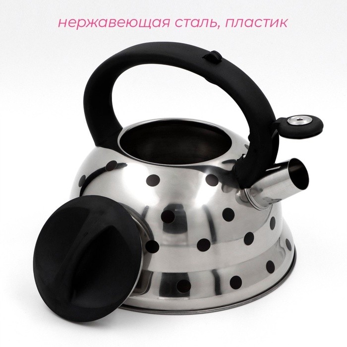 Чайник со свистком Доляна «Горошек», 2.8 л, нержавеющая сталь, хромированный