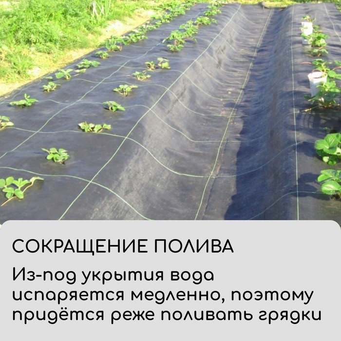 Агроткань застилочная, с разметкой, 10×1.1 м, плотность 100 г/м², полипропилен, Greengo, Эконом 50%