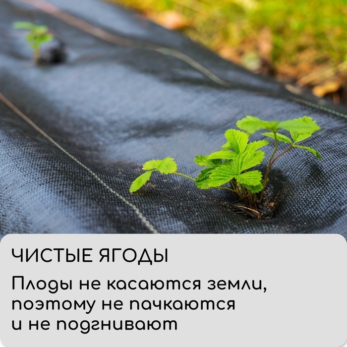 Агроткань застилочная, с разметкой, 10×1.6 м, плотность 100 г/м², полипропилен, Greengo, Эконом 50%