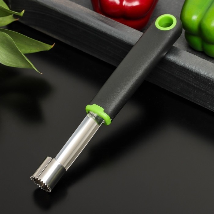Нож для сердцевины Доляна Lime, 20×2 см, чёрный (Цена за 2 шт.)