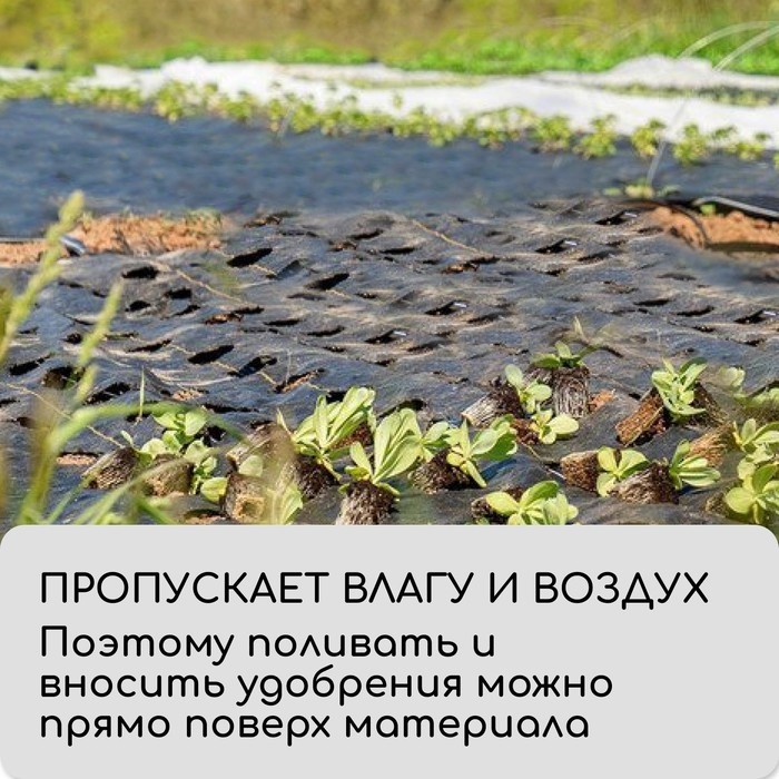 Агроткань застилочная, с разметкой, 10×3.2 м, плотность 100 г/м², полипропилен, Greengo, Эконом 50%