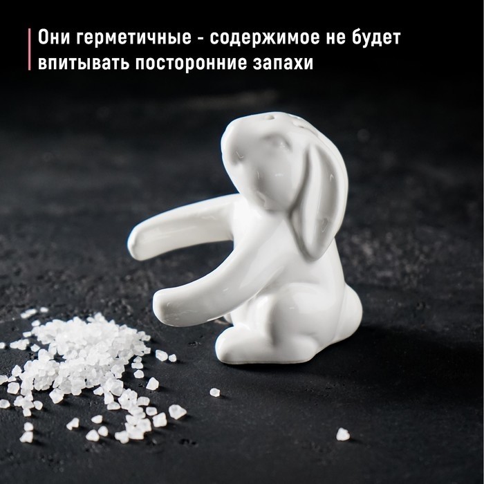 Набор для специй Доляна «Зайка», солонка 50 мл, перечница 40 мл, доломит, белый