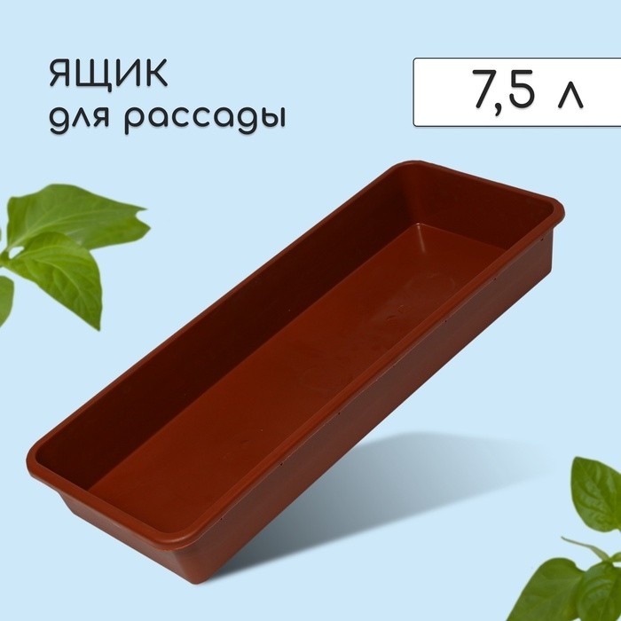 Ящик для рассады, 53×21.5×7.2 см, 7.5 л, пластик, МИКС (Цена за 2 шт.)