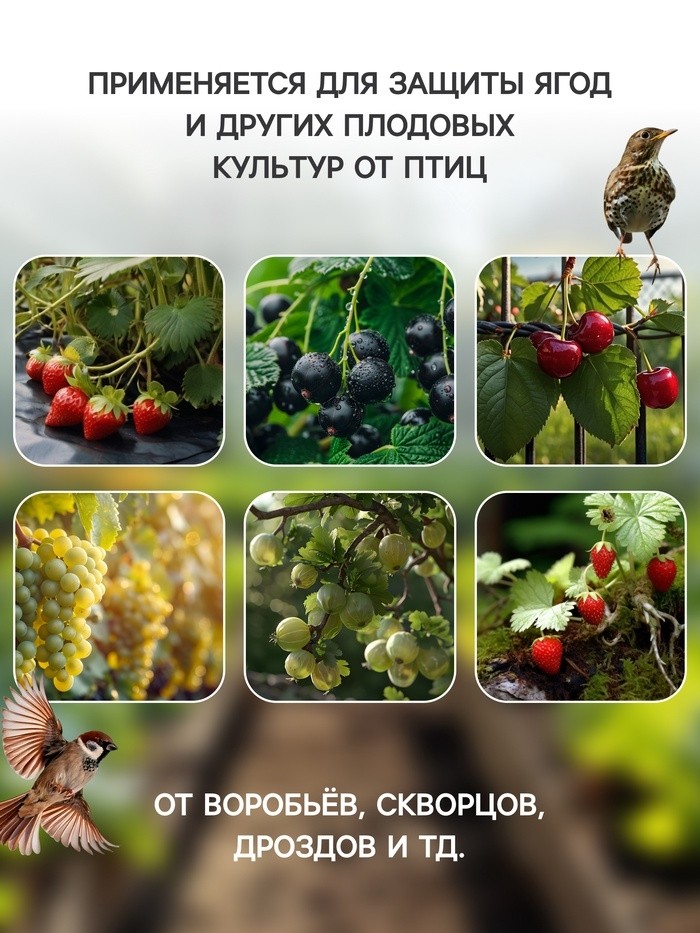 Сетка садовая, 2×10 м, ячейка ромб 6×6 мм, от птиц, пластиковая, зелёная, Greengo