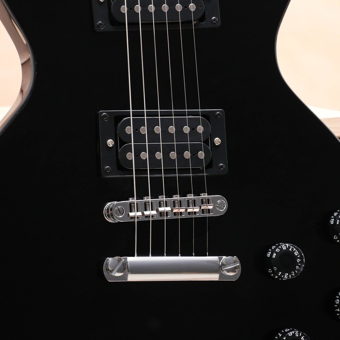 Электрогитара TERRIS TLP-039 BK Les Paul, HH, 2V2T, цвет черный