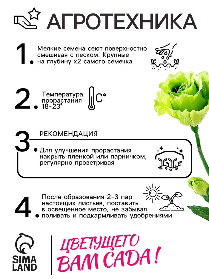 Семена цветов  Лизиантус F1( Эустома) АВС грин, 5 шт,