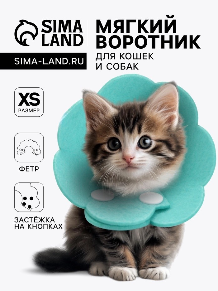 Ветеринарный воротник из фетра "Ромашка", размер L, синий