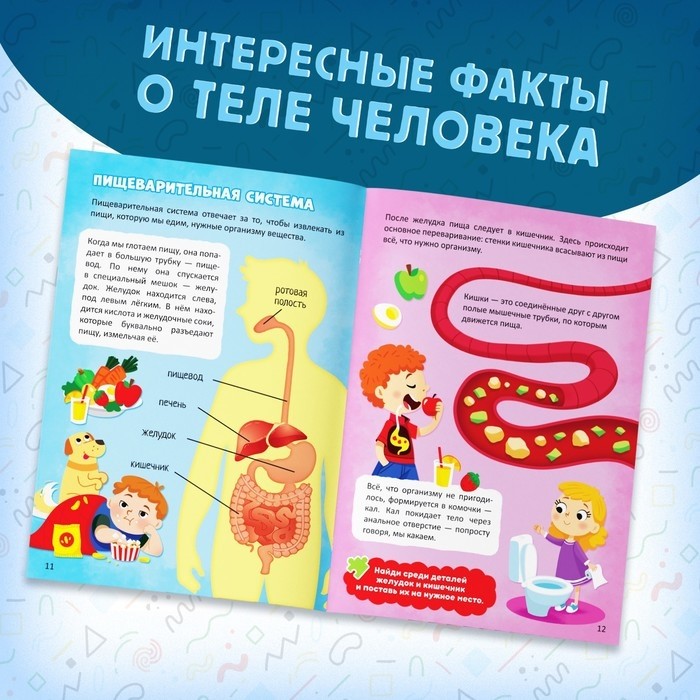Набор «Моё тело», мегапазл с обучающей книгой