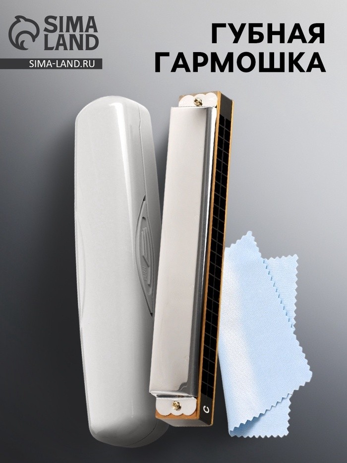Губная гармошка Music Life T2401 тремоло, с футляром