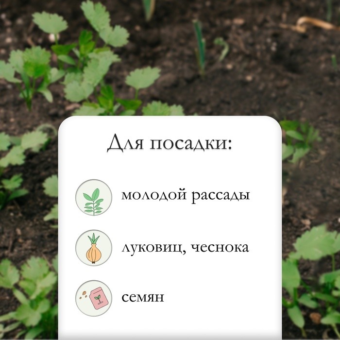 Конус посадочный, длина 25 см, деревянная ручка (Цена за 4 шт.)