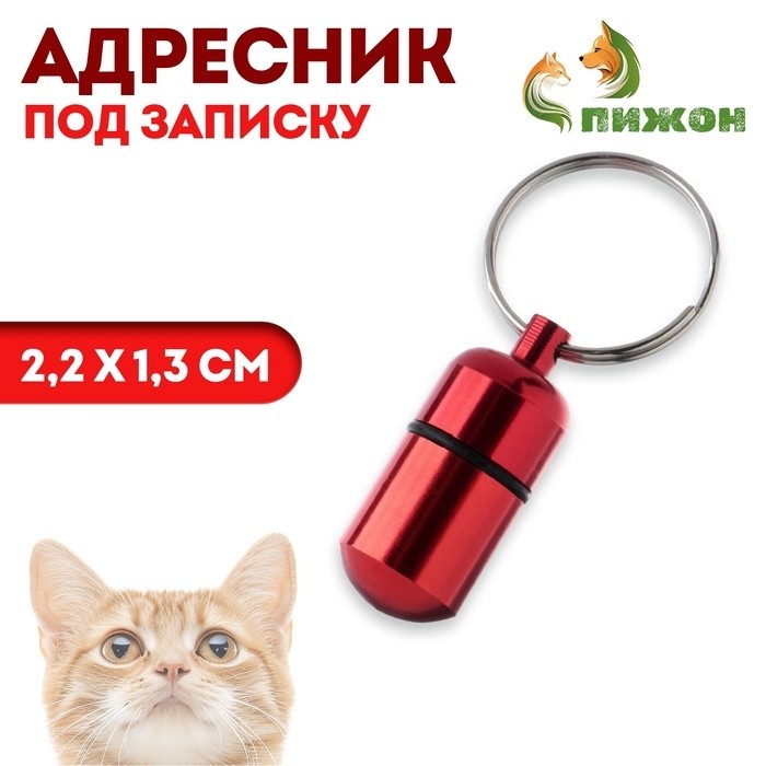Адресник - капсула под записку, 2,2 х 1,3 см, серебристый