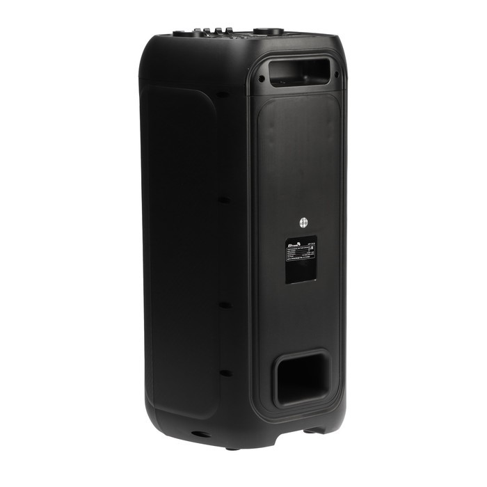 Портативная колонка Eltronic Wave 500, 50 Вт, 3600 мАч, FM, BT, microSD, AUX, TWS, подсветка