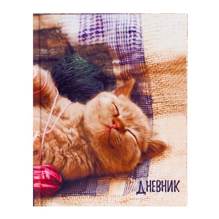 Дневник школьный для 1-4 классов, «Котёнок», твёрдая обложка 7БЦ, глянцевая ламинация, 48 листов