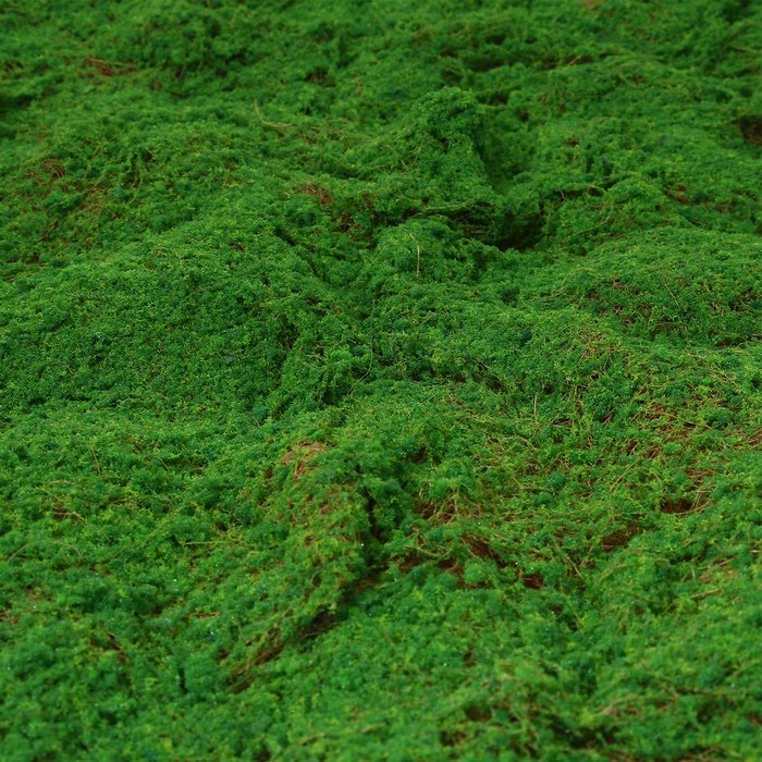 Мох искусственный, декоративный, полотно 1×1 м, зелёный, Greengo