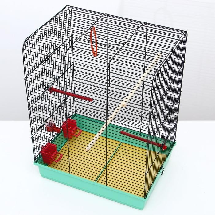 Клетка "Грация", 4 яруса, 50 х 36 х 65 см, микс цветов