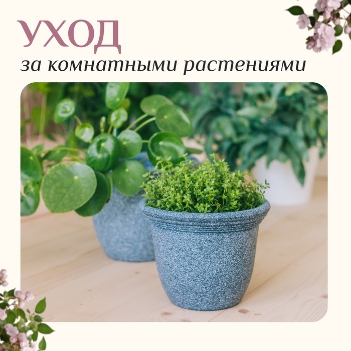 Набор садового инструмента для комнатных растений, 3 предмета: грабли, 2 лопатки, длина 24 см, деревянные ручки, Greengo
