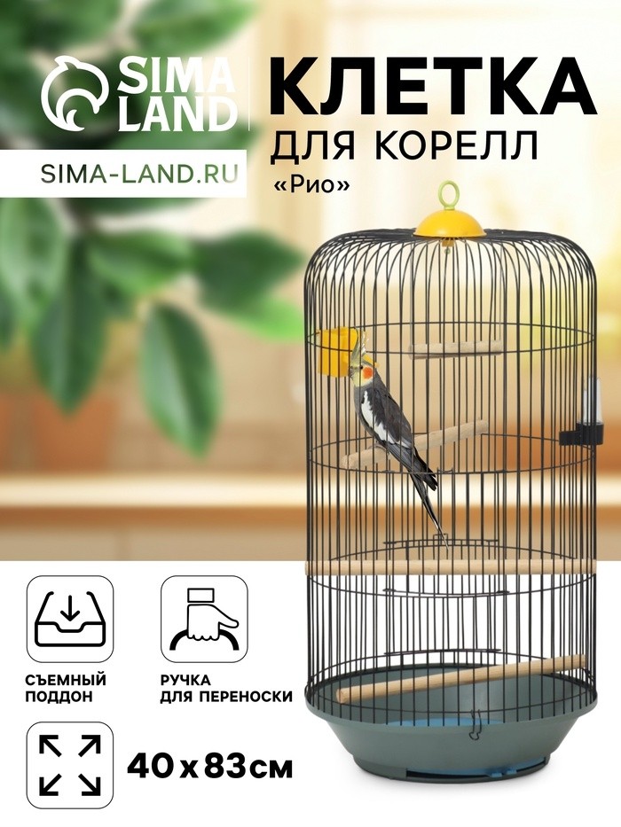 Клетка для корелл круглая «Рио», 40 x 83 см, микс цветов