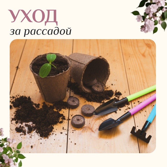 Набор садового инструмента, 3 предмета: грабли, 2 лопатки, длина 21 см, пластиковые ручки, МИКС