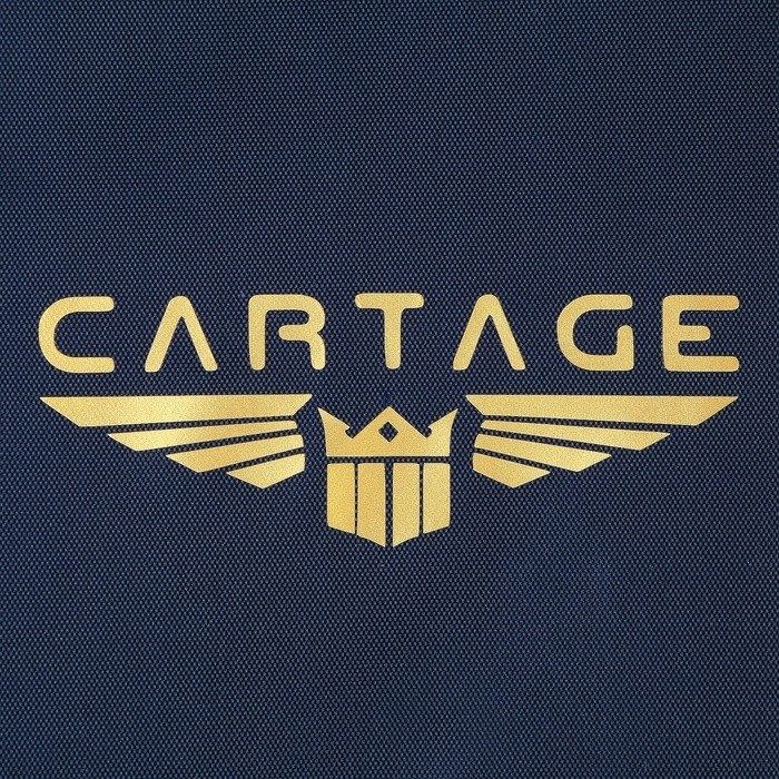 Термосумка Cartage Т-17, синяя, 18 л, 35×21×24 см