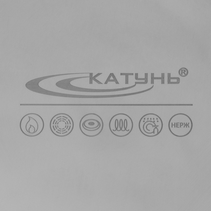 Кастрюля Катунь «Общепит», 15 л, d=30 см, h=25 см, капсульное дно, индукция, нержавеющая сталь