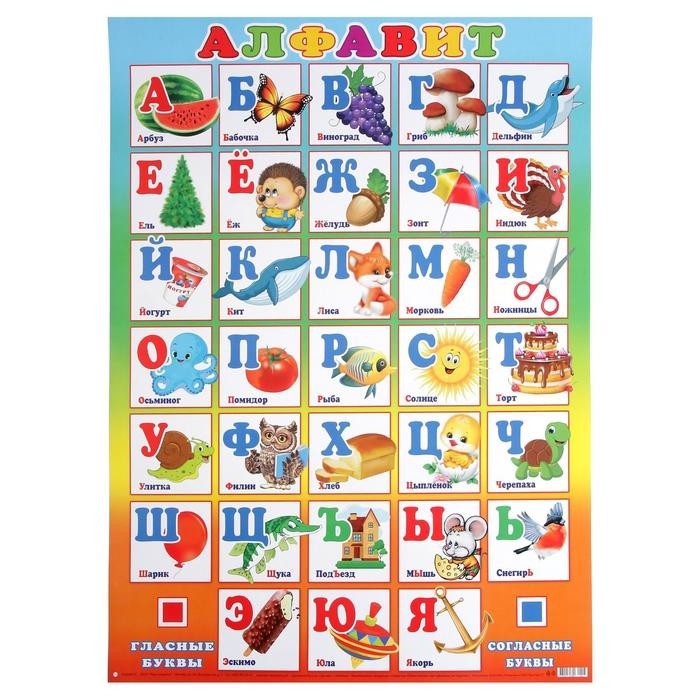 Плакат «Алфавит» А2