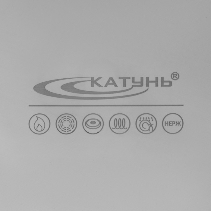 Котёл Катунь «Общепит», 20 л, d=35 см, h=24 см, капсульное дно, индукция, нержавеющая сталь