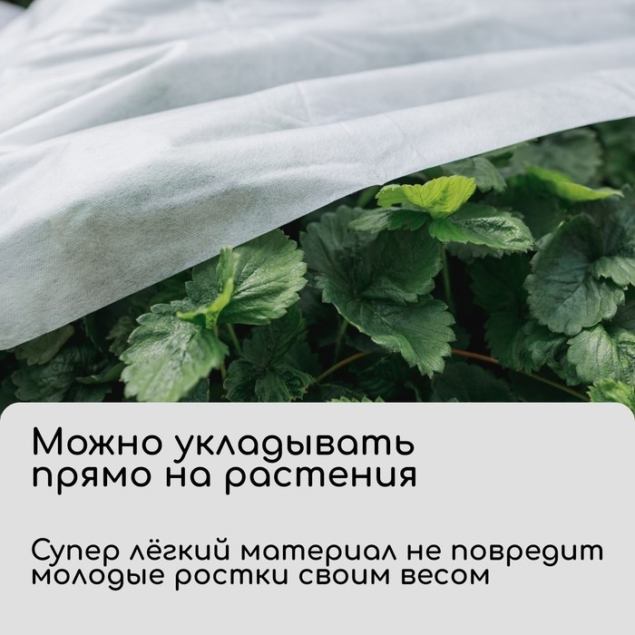 Материал укрывной, 10×1.6 м, плотность 20 г/м², спанбонд с УФ-стабилизатором, белый, Greengo, Эконом 30%