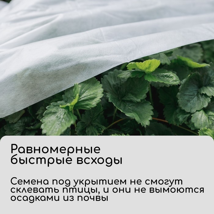 Материал укрывной, 10×1.6 м, плотность 20 г/м², спанбонд с УФ-стабилизатором, белый, Greengo, Эконом 30%
