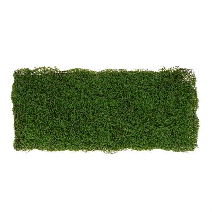 Декоративная панель, 90×40 см, «Мох», Greengo