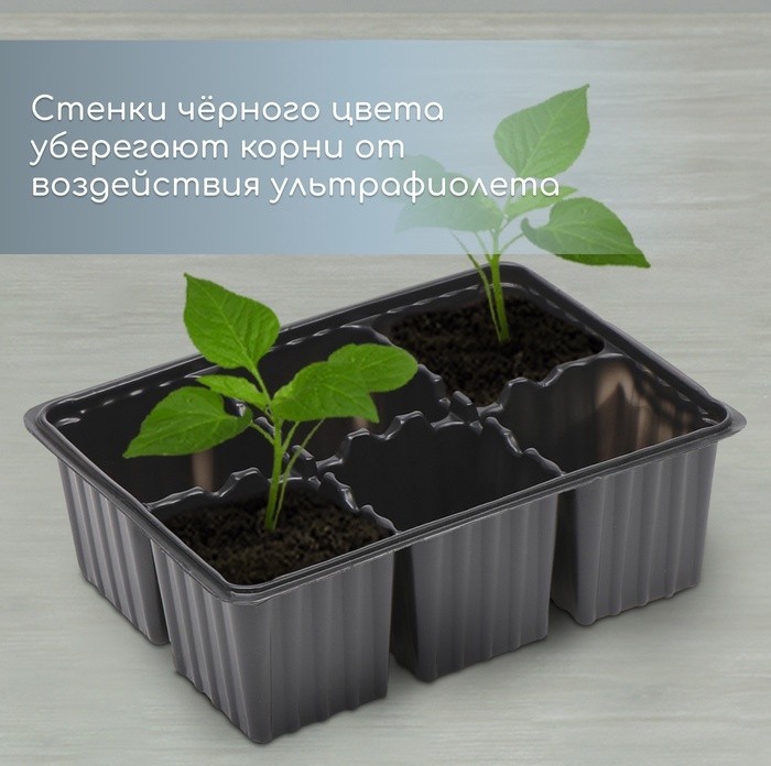 Кассета для рассады, 6 ячеек по 120 мл, пластик, чёрная, набор 5 шт. (Цена за 4 шт.)