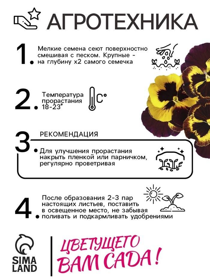 Семена Виола "Барон Махагон", ц/п,  F1, 5 шт.