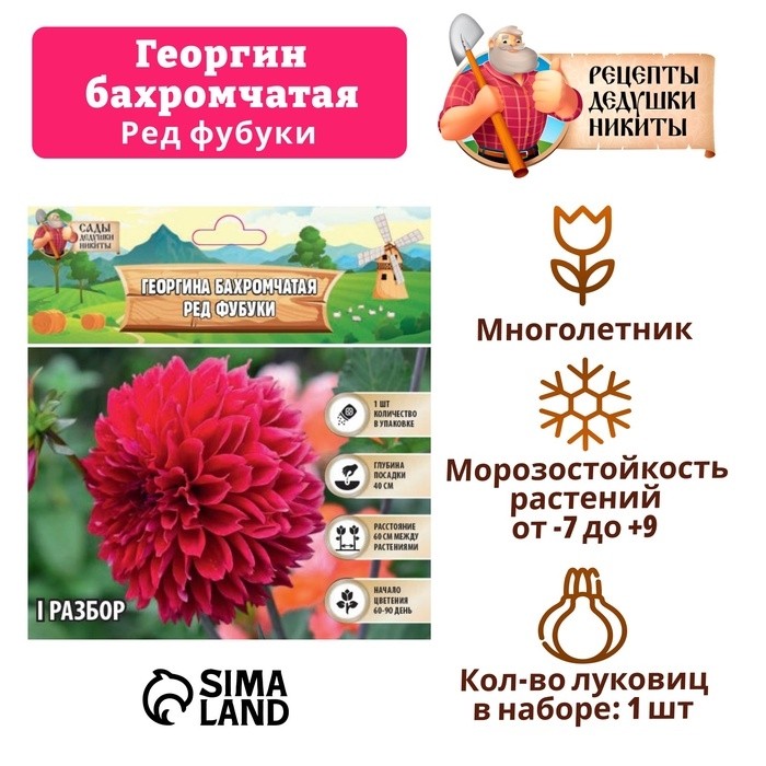 Георгина Бахромчатая "RED FUBUKI" , р-р I, 1 шт,