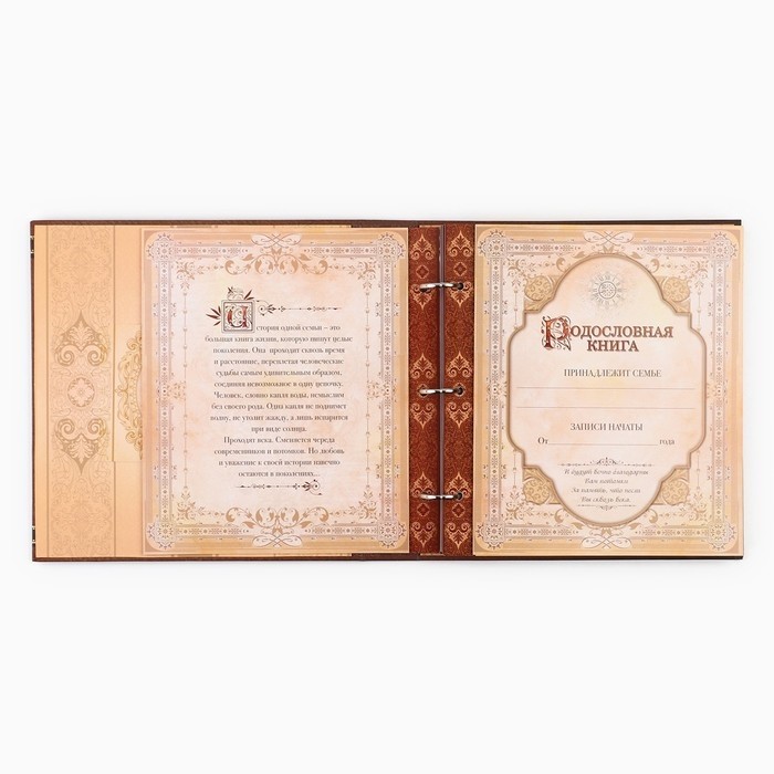 Родословная книга с рамкой под фото «Семейная летопись», 50 листов, 21,5 х 23,7 см.