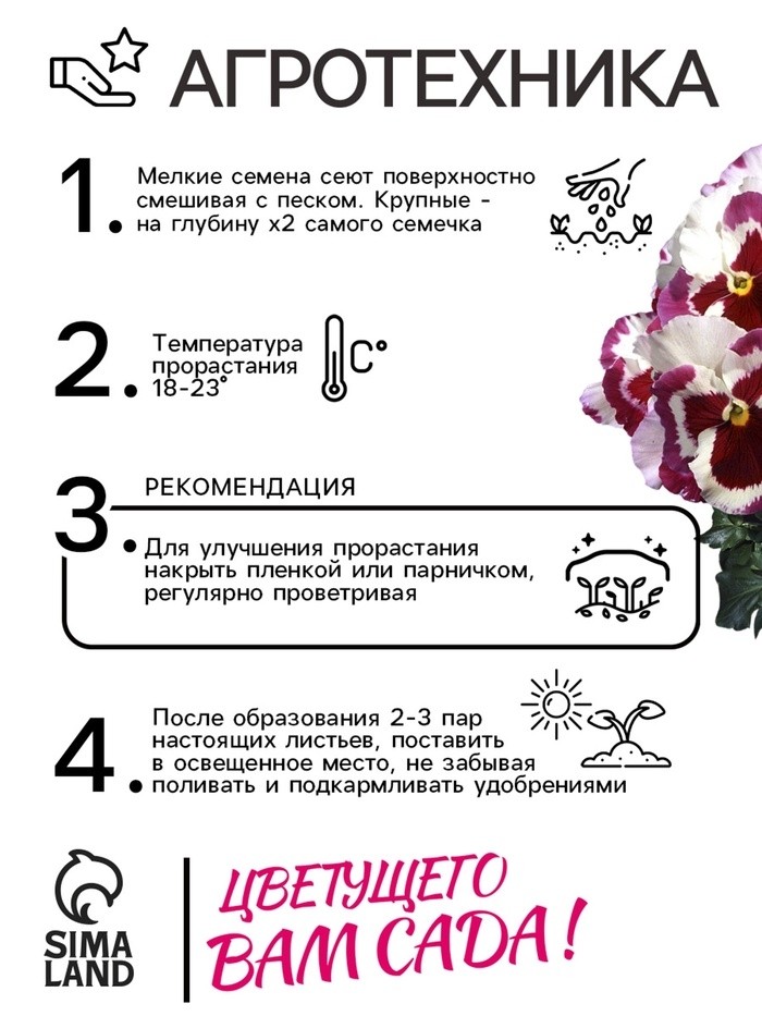 Семена Виола "Зимняя вишня", F1,