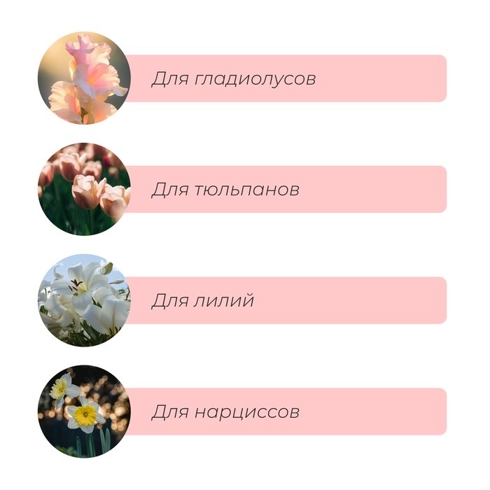 Корзина для посадки луковичных растений, круглая, d=30 см, h=8 см, чёрная (Цена за 3 шт.)