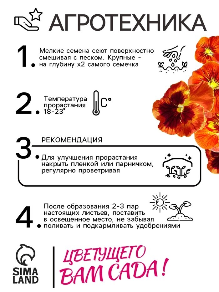 Семена Виола "Кан Кан", F1,
