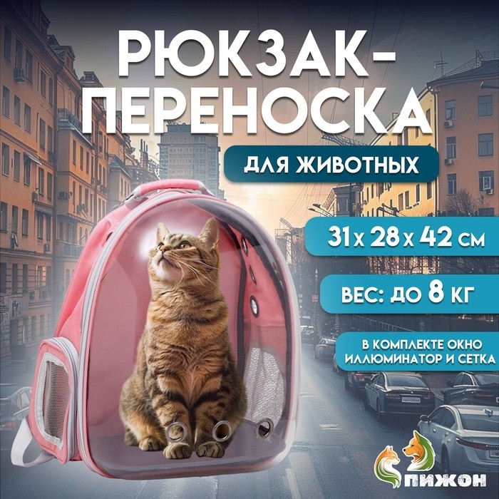 Рюкзак для переноски кошек и собак, прозрачный, 31 х 28 х 42 см, синий