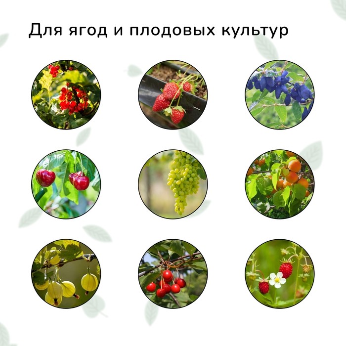 Сетка садовая, мягкая, 10 × 2 м, ячейка 8 × 8 мм, от птиц , Greengo