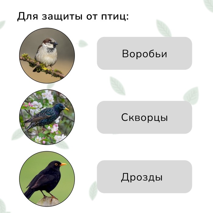 Сетка садовая, мягкая, 10 × 2 м, ячейка 8 × 8 мм, от птиц , Greengo
