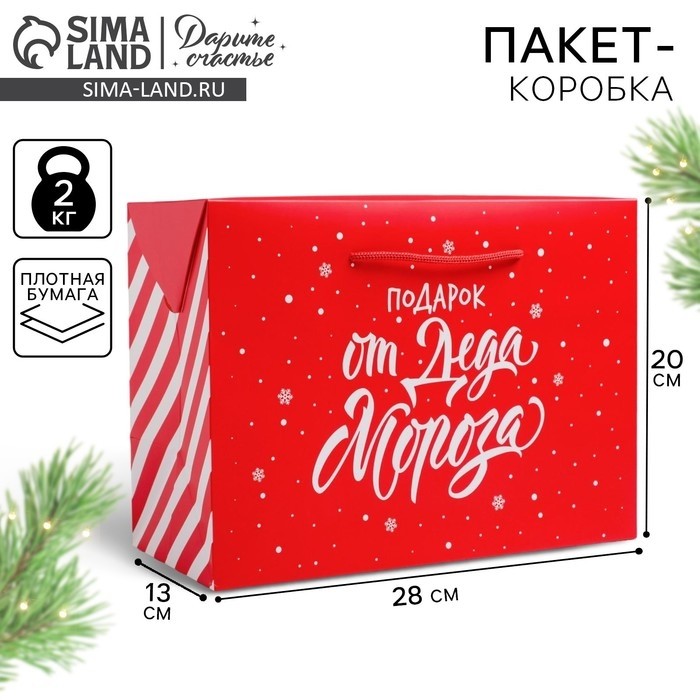 Пакет-коробка «Подарок», 28 х 20 х 13 см