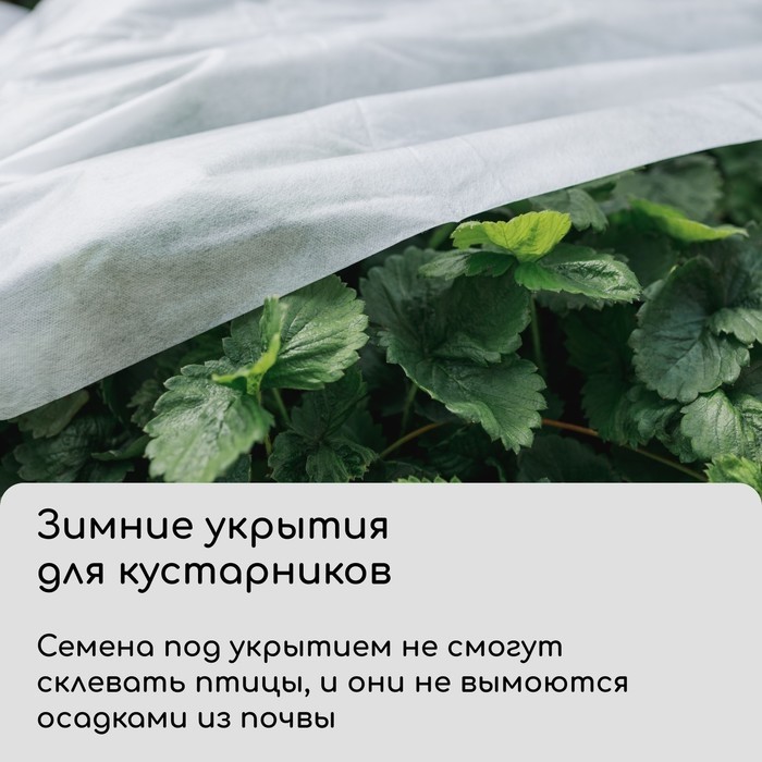 Материал укрывной, 10×3.2 м, плотность 42 г/м², спанбонд с УФ-стабилизатором, белый, Greengo, Эконом 30%