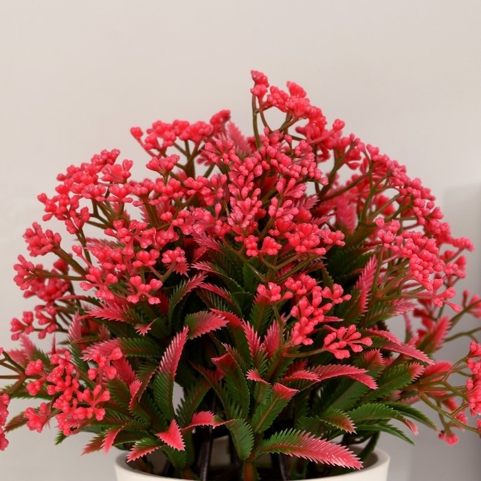 Бонсай «Сурепка восточная», 9.5×20 см, МИКС