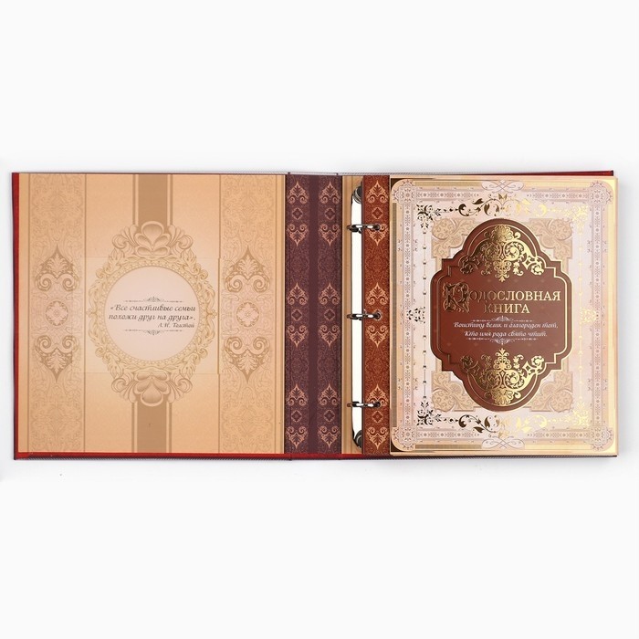 Родословная книга с рамкой под фото «Семейная книга», 50 листов, 21,5 х 23,7 см.