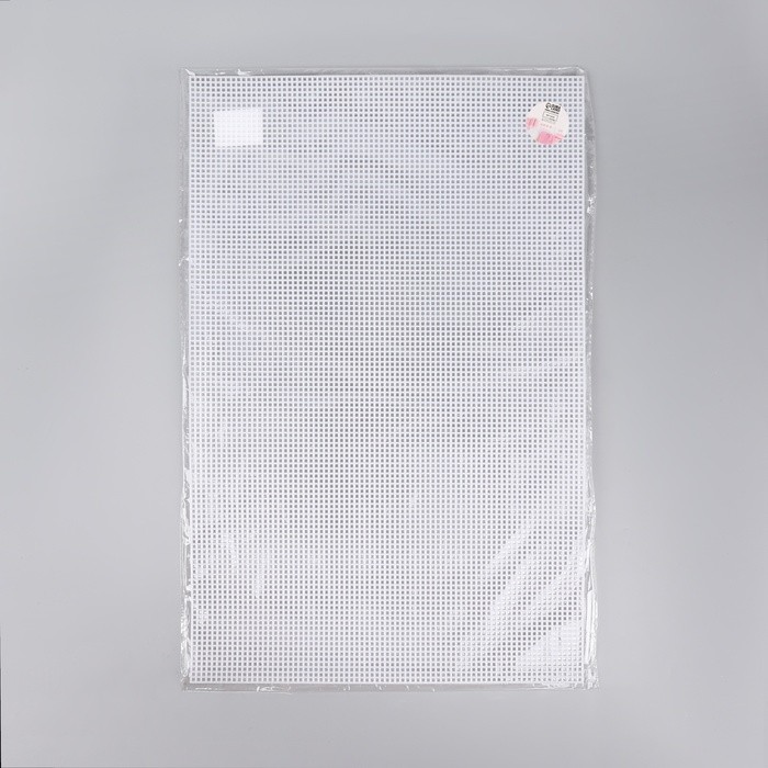 Канва для вышивания №5, пластиковая, 50×33 см, белая