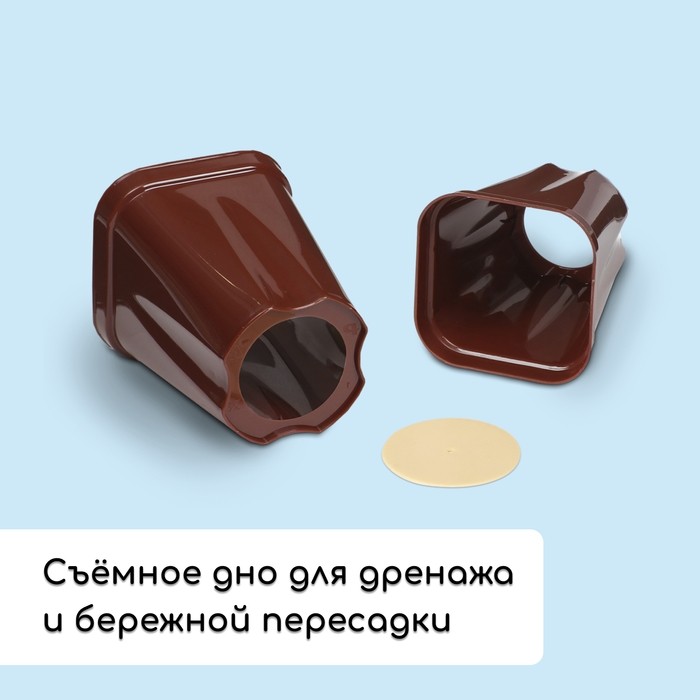 Набор для рассады: стаканы по 250 мл (6 шт.), ящик 25×16 см, МИКС
