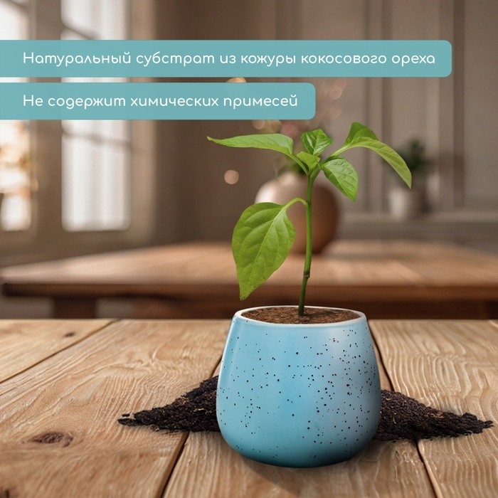 Таблетки кокосовые, для рассады, d=6 см, набор 5 шт., без оболочки, Greengo