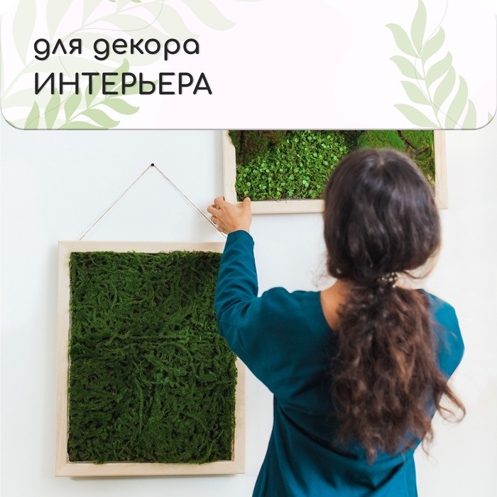Декоративная панель, 90×40 см, «Ряска», Greengo