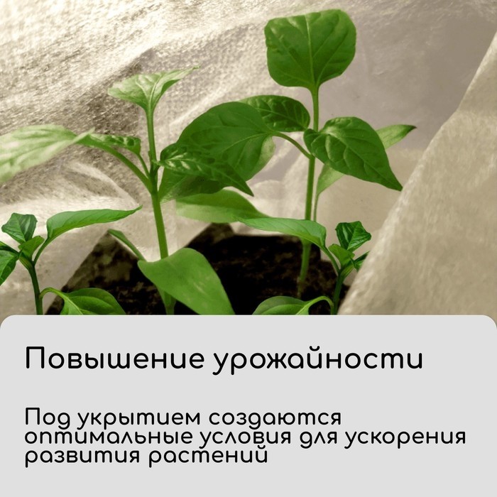 Материал укрывной, 10×3.2 м, плотность 30 г/м², спанбонд с УФ-стабилизатором, белый, Greengo, Эконом 30%