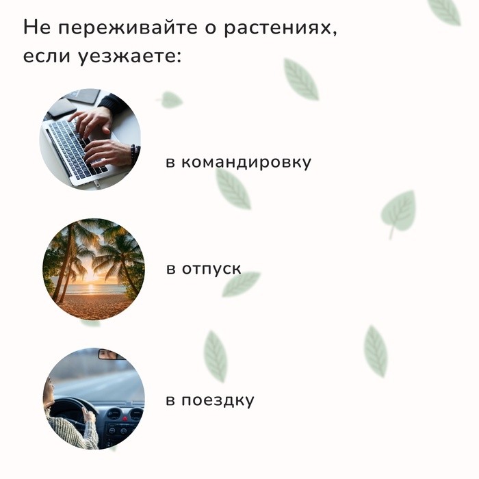 Автополив для комнатных растений под бутылку, регулируемый, серый, из пластика, высота 16 см, 4 шт.