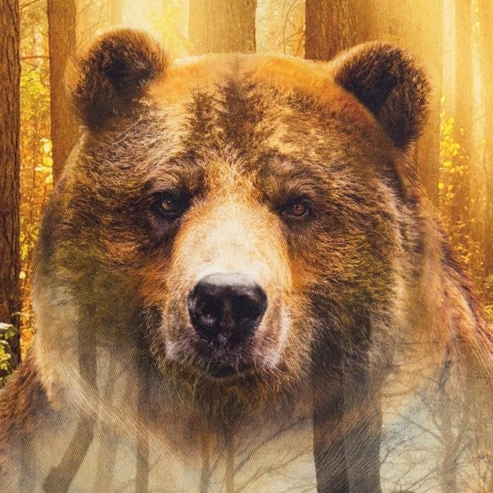 Полотенце Этель «Лес», 40×67 см, хлопок 100 %, саржа, 190 г/м²